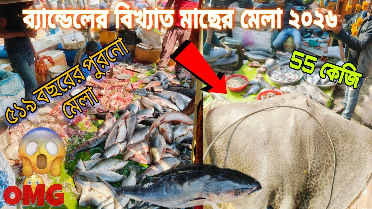 ব্যান্ডেলের বিখ্যাত মাছের মেলা 2026🐟 | 519 বছরের পুরনো মেলা |  55 কেজি | SOURAV VLOGS 84 