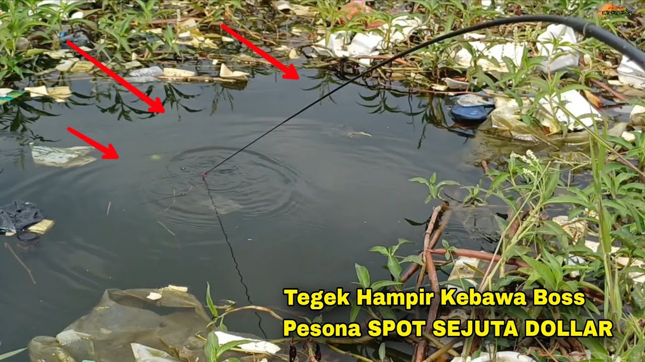 TARIKAN APA INI, KOK BEGINI• Mancing Ikan RED DEVIL Bonus IKAN MUJAIR Situ Waringin Karawang