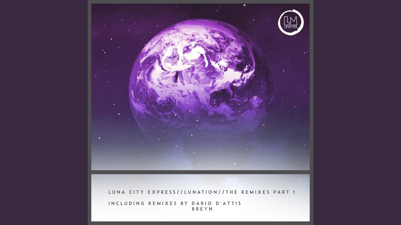 Victims of the Funk (Dario D'Attis Remix)