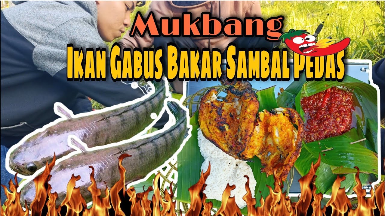 Mancing Ikan Gabus di Alam, Masak Ikan Bakar Sambal Pedas, ASMR
