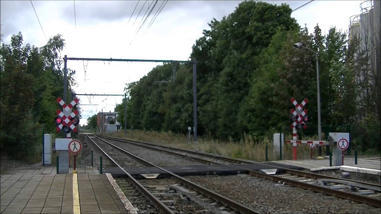 Spoorwegovergang//RR-crossing Zele, Station (2), B