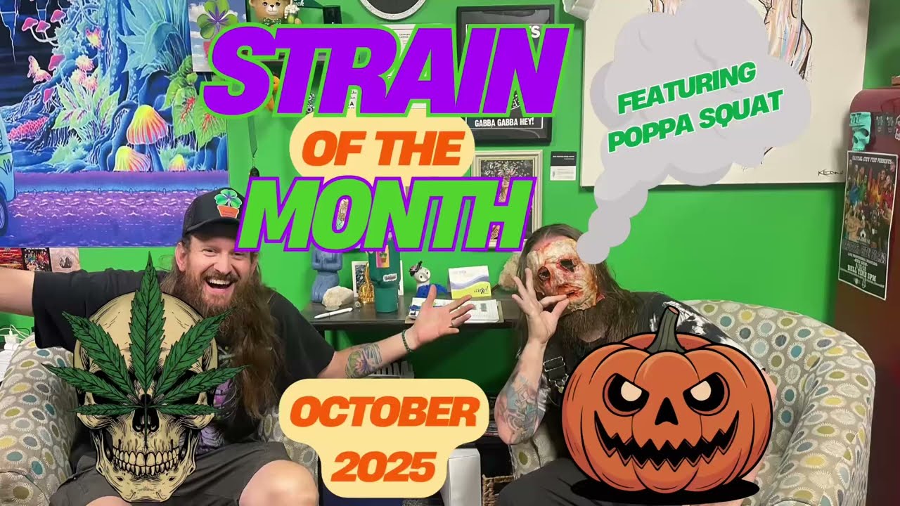 October-Strain of the Month-Lemon Cake-Feat.Poppa Squat