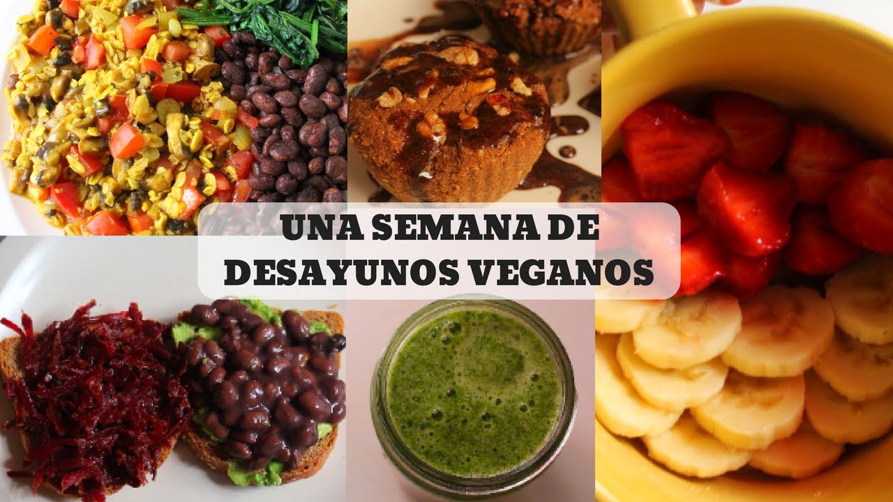 ☀️7 DESAYUNOS VEGANOS UNA SEMANA DE DESAYUNOS☀️|  DIANA VEGANA