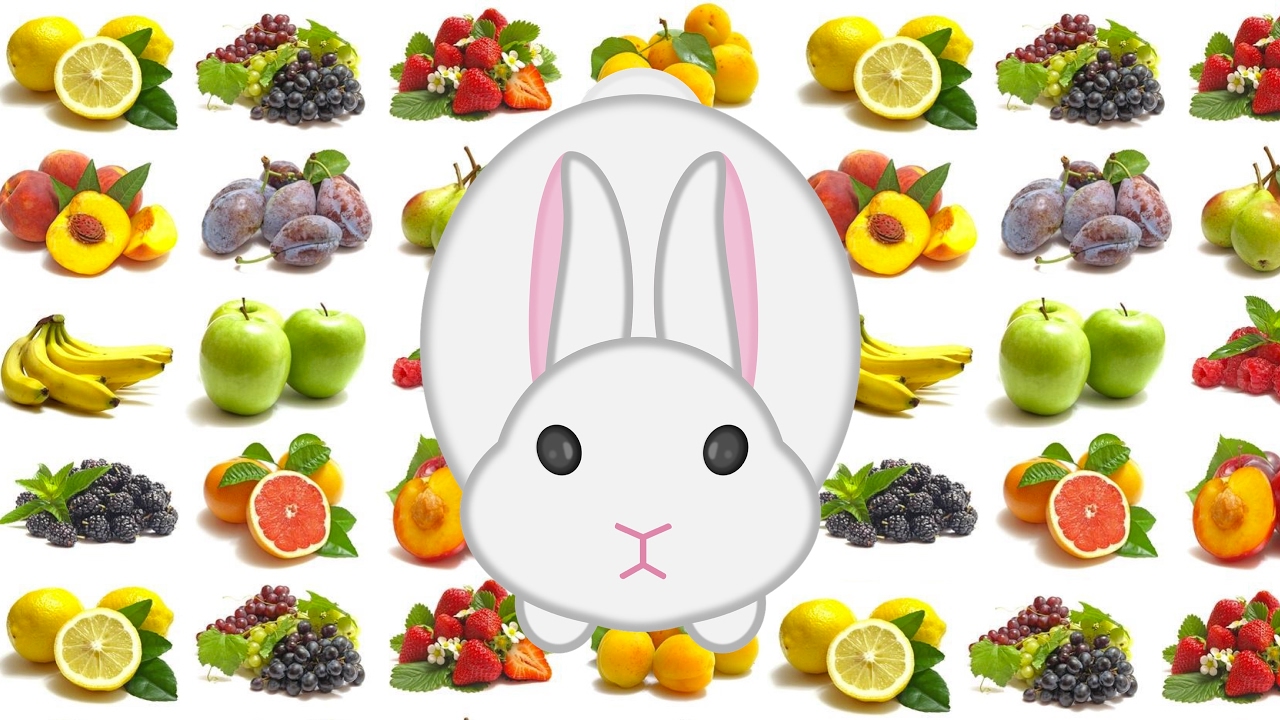 Quels fruits un lapin peut il manger ?