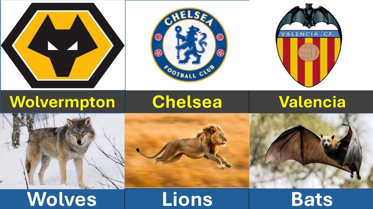 Most Famous Football Clubs With Animal Nicknames & Logos&hellip; UNBELIEVABLE! 😱🔥