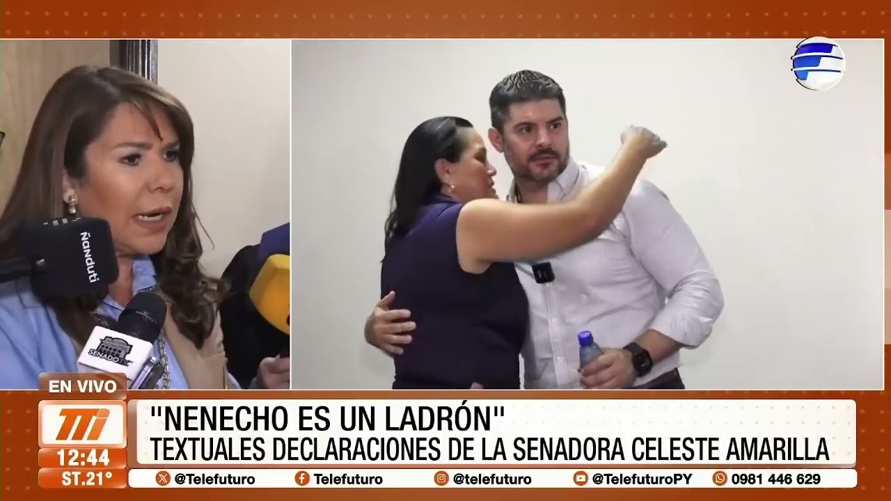 ''Nenecho es un ladrón'', senadora Celeste Amarilla