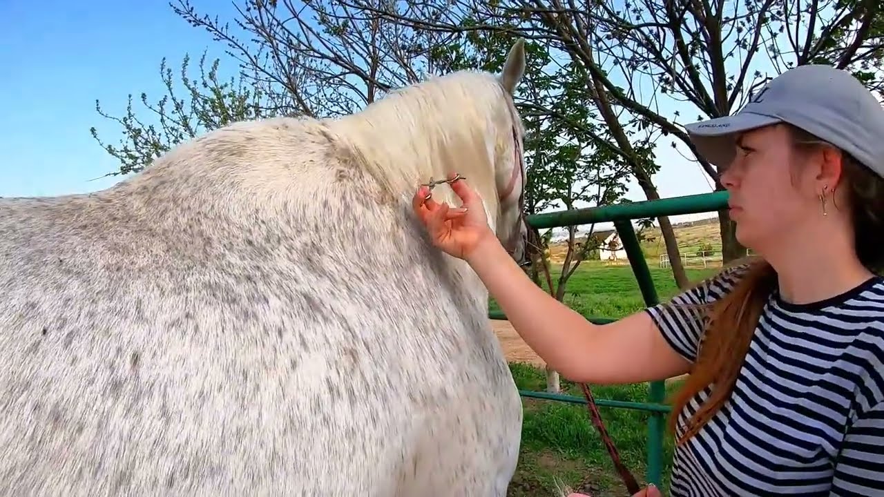 This Horse Lived in DARKNESS… Until One Day EVERYTHING Changed! 🌟🐴