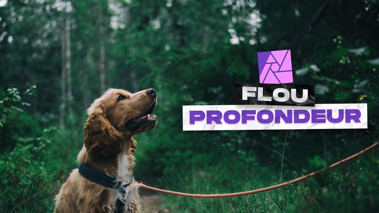 Flou de profondeur sur Affinity Photo