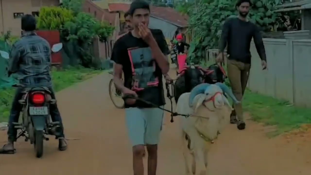 BAKRAEID SPECIAL 😁