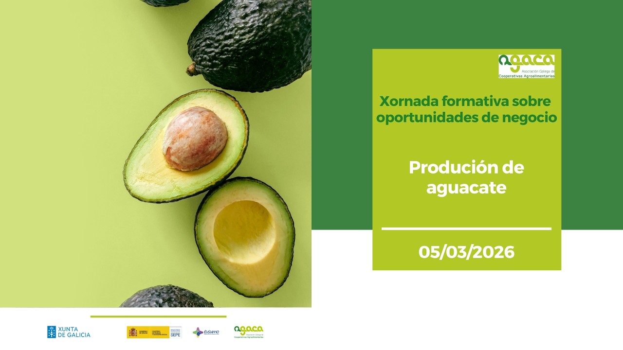 Produción de aguacate. Xornada Formativa sobre Oportunidades de Negocio