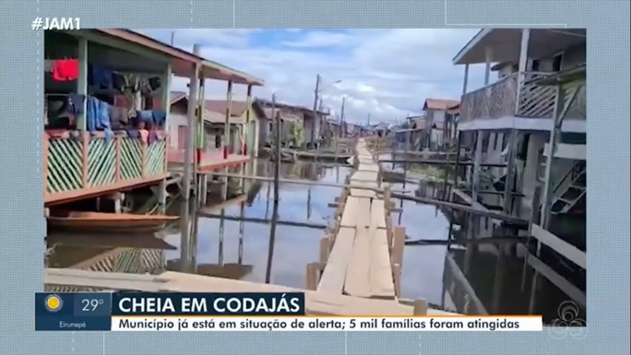 Codajás entra em estado de alerta devido a cheia | JORNAL DO AMAZONAS 1ª EDIÇÃO - REDE AMAZÔNICA