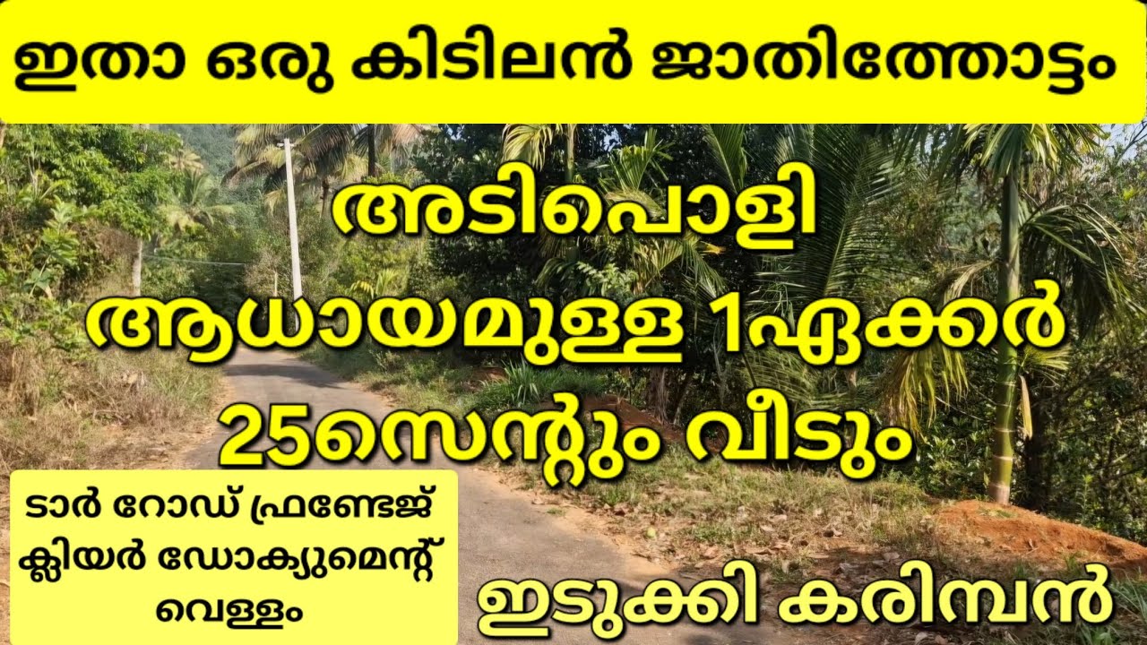 1ഏക്കർ 25സെന്റും വീടും. അടിപൊളി ജാതിത്തോട്ടം. കിടിലൻ ആധായം. വഴി വെള്ളം. ഇടുക്കി കരിമ്പൻ 👇