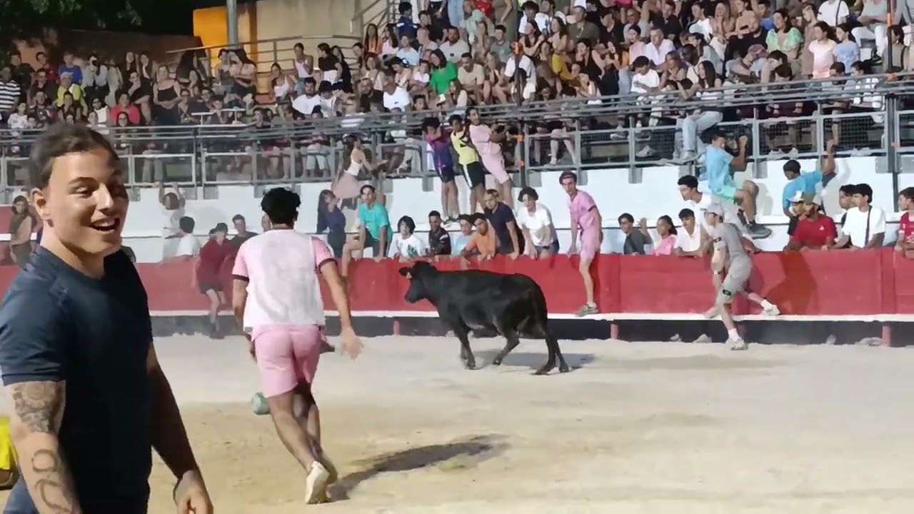 TORO PISCINE DE BOUILLARGUES MANADE BRIAUX CLUB TAURIN LA CLEDA
