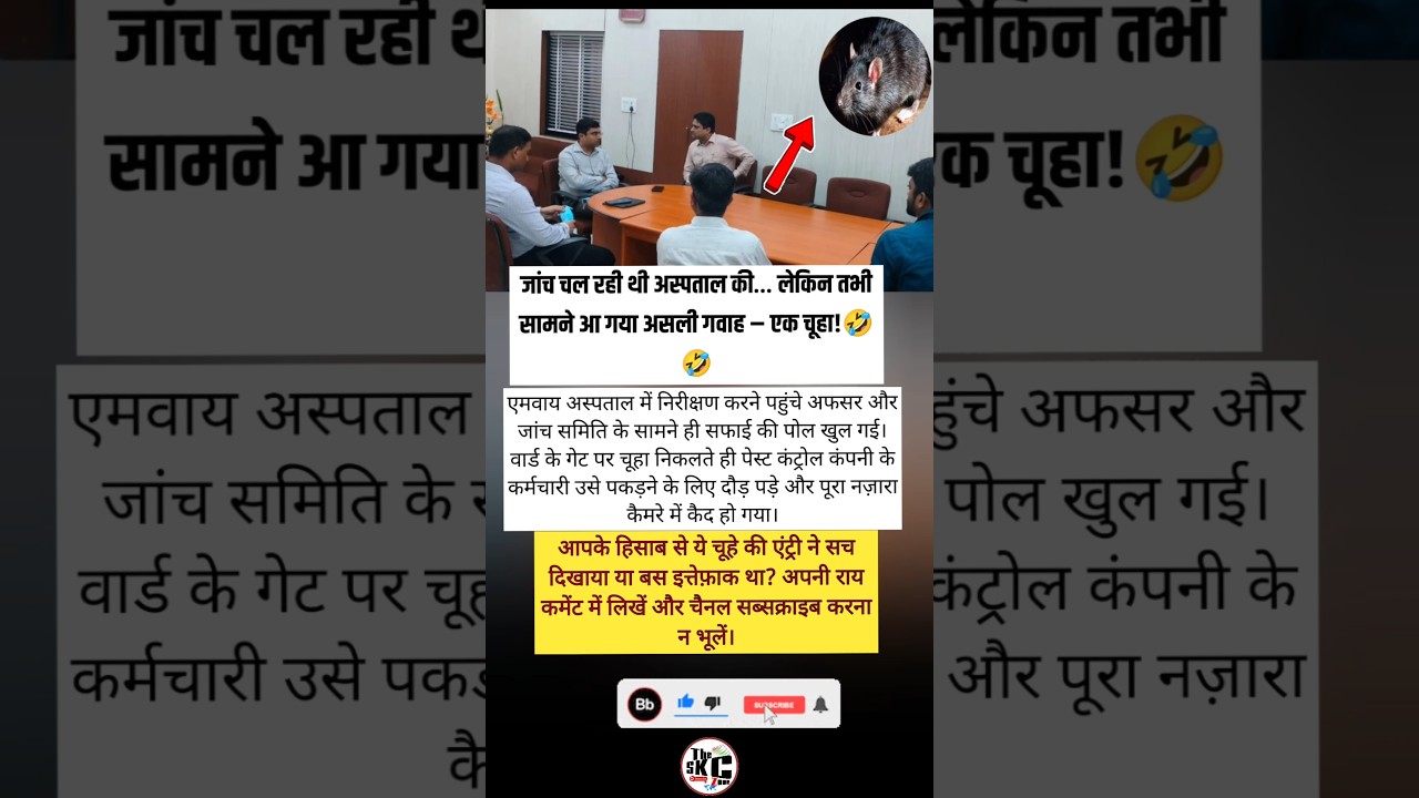 'Mouse Found in Hospital Ward Cleaning: The Shocking Truth About NHS Hygiene'