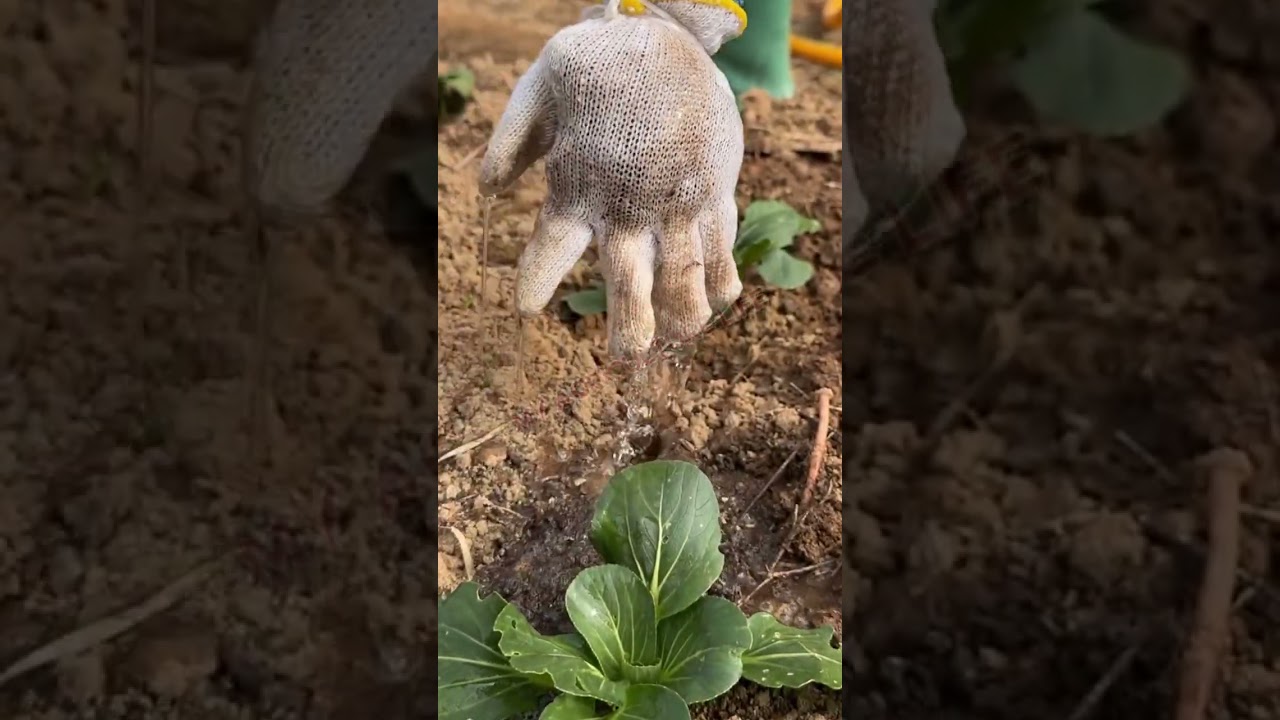 The Ultimate Garden Hack