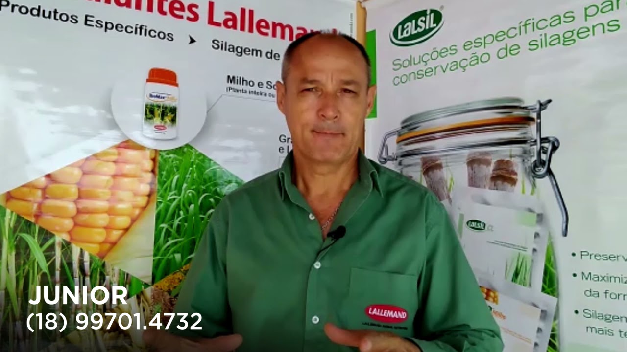 Preparo da Calda do inoculante