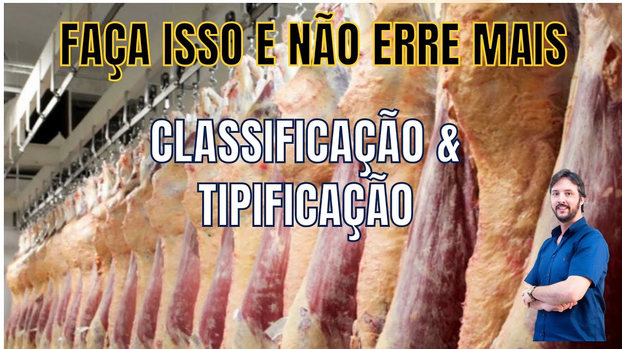 #16 Tipificação e classificação de carcaças.