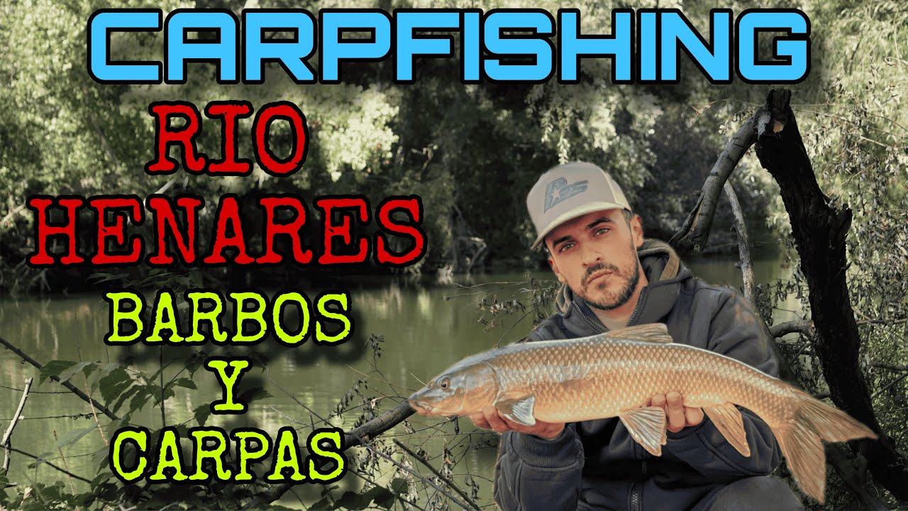 CARPFISHING BARBOS Y CARPAS | RIO HENARES | CARPFISHING | 2026