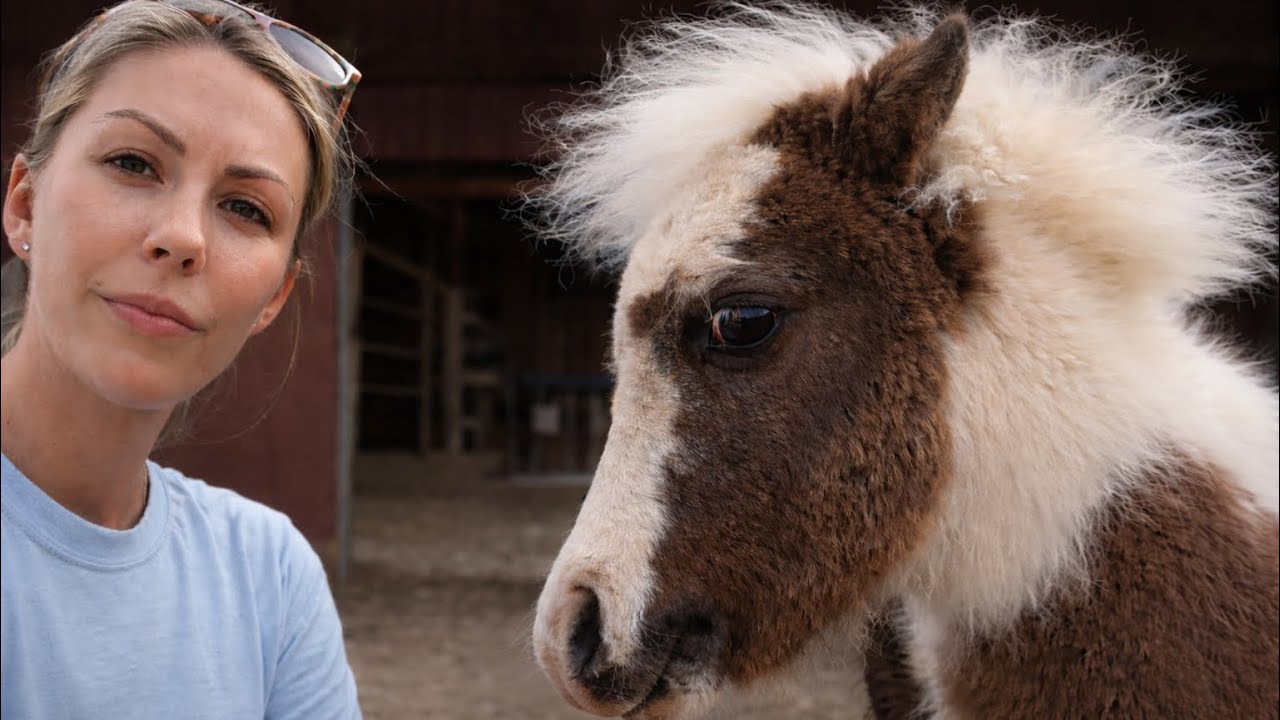 Сегодня это не входило в планы…