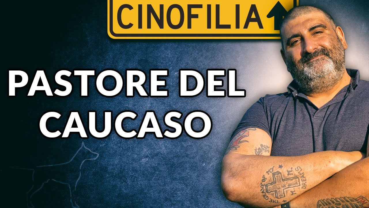 Il Pastore del Caucaso - Il custode del tempo