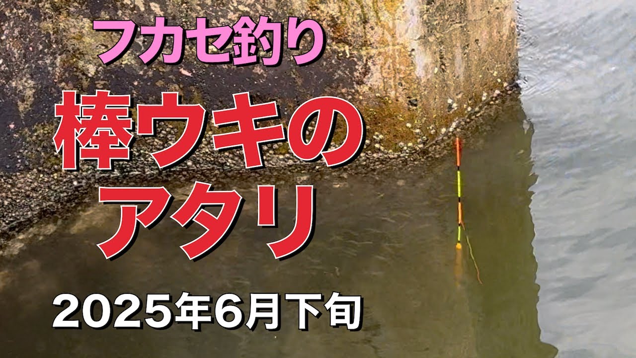 2025年6月下旬 棒ウキのアタリ フカセ釣り