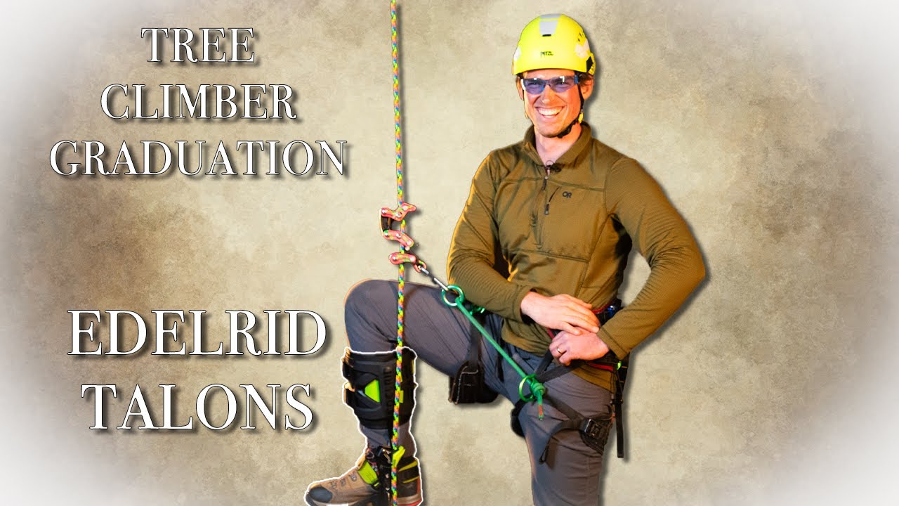 Tree Climbing Gear Review: Edelrid Talons