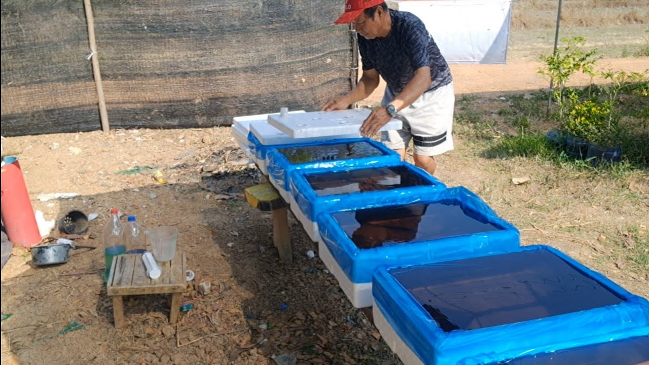 ขั้นตอนการเตรียมผสมน้ำปุ๋ยA,Bอย่างละเอียดทุกขั้นตอน