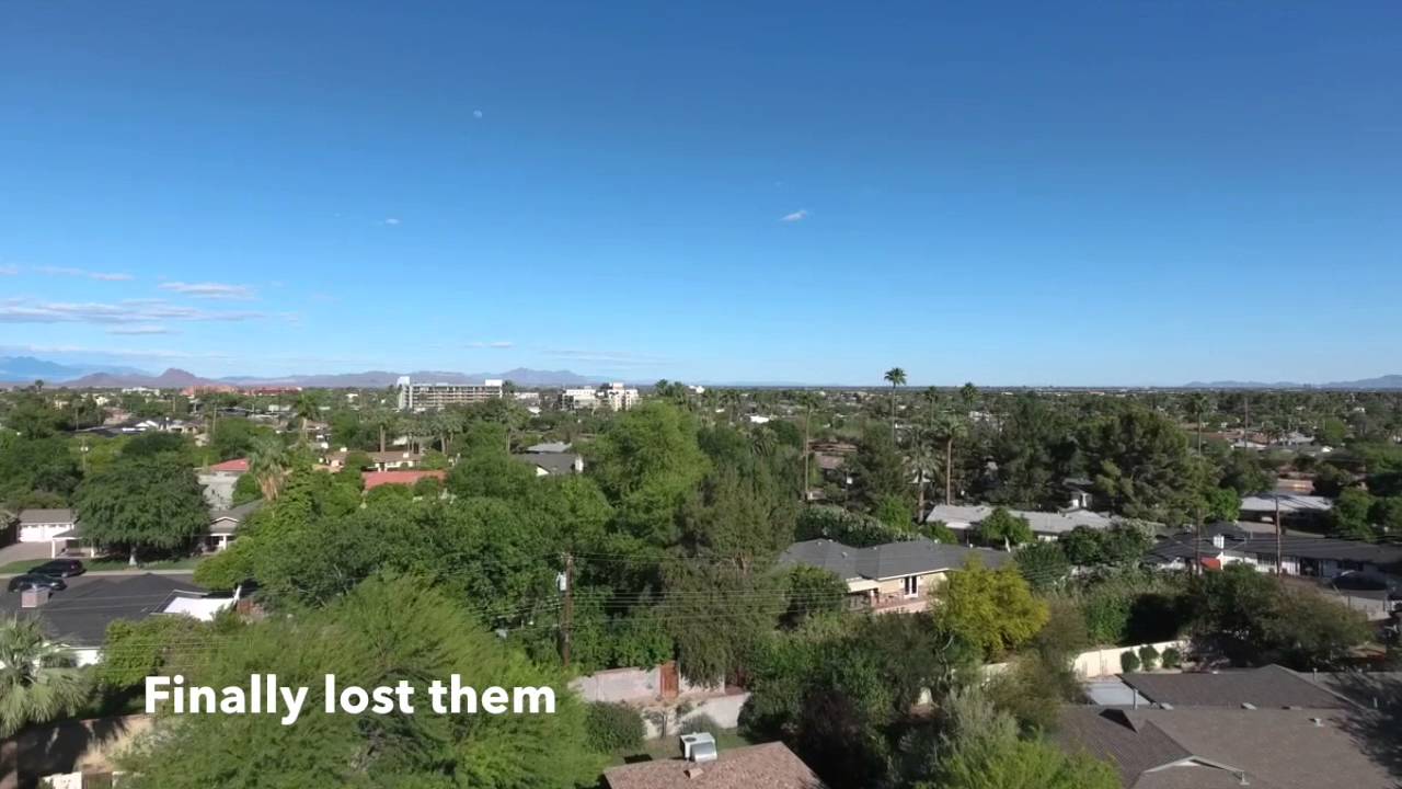 Drone (Phantom 4) attacked by a swarm of bees!