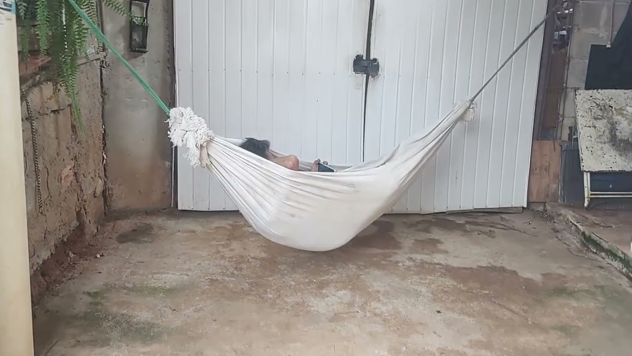 Pachequinho relaxando na rede