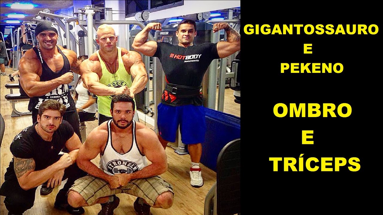 GIGANTOSSAURO E PEKENO  - OMBRO E TRÍCEPS