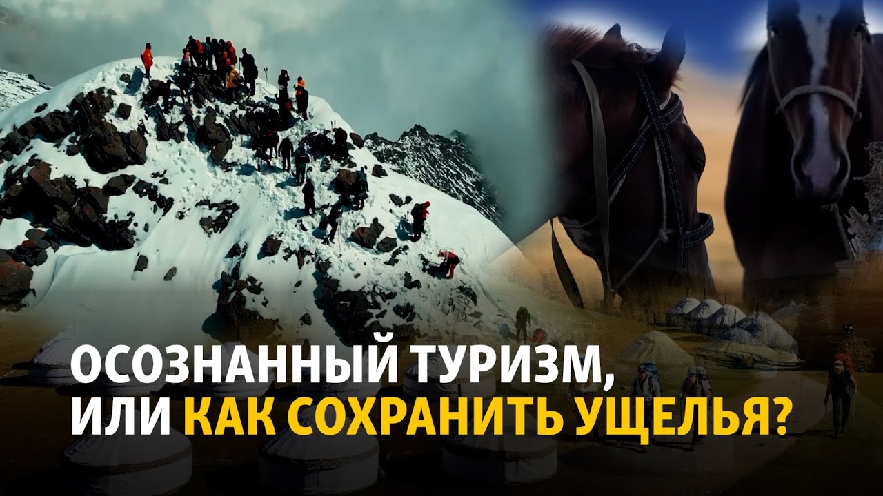 Ассоциация туроператоров о проблемах в туризме, новом законе