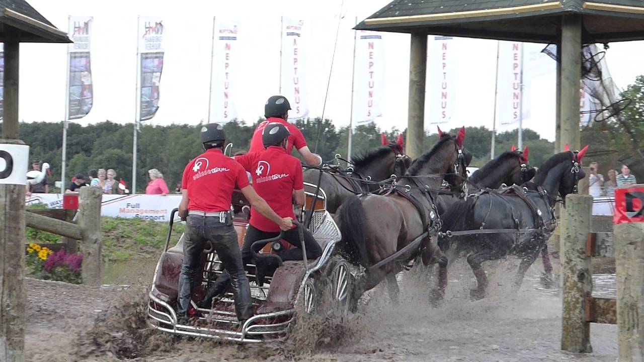 ULRICH Werner, SUI, CH M A4, Breda 2016, Marathon Ob 6, 03 09 16