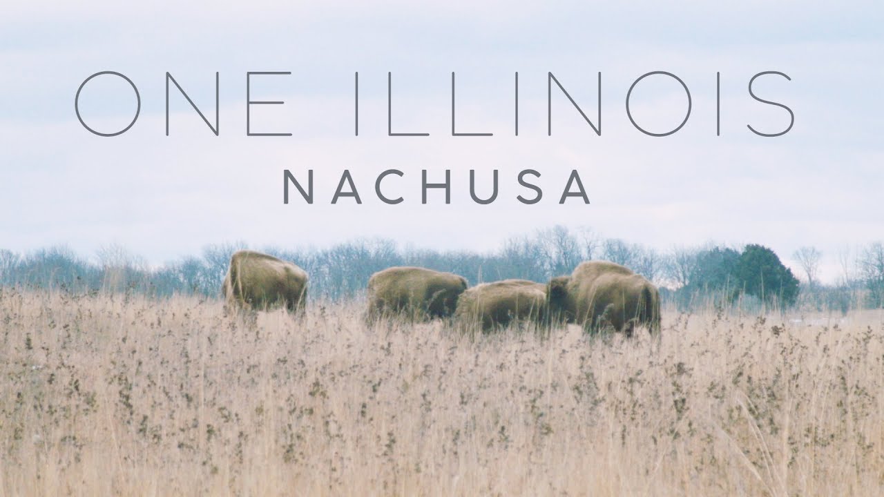 The Nachusa Grasslands - An Illinois Story