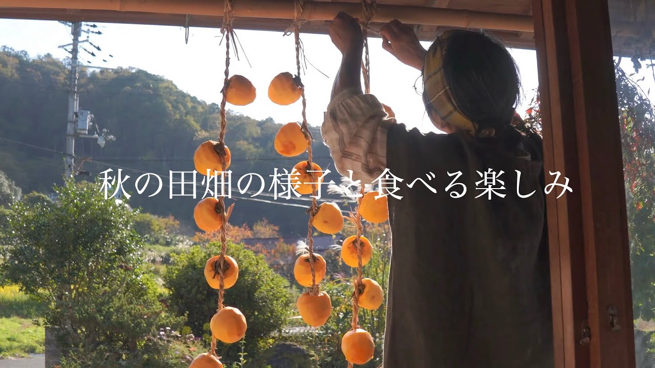 田舎暮らし vlog｜我が家のスペシャルな手巻き寿司と手まり寿司｜秋の田畑の様子｜50代田舎暮らし｜＃15