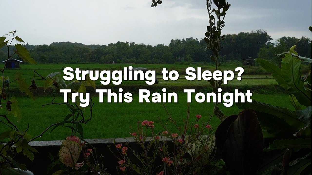 Rain Sounds – Can’t Sleep? This Will Calm Your Mind
