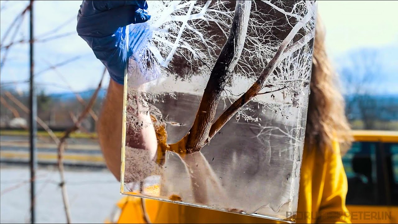 How to Clean Plates for Wet Plate Collodion / Vlog 133