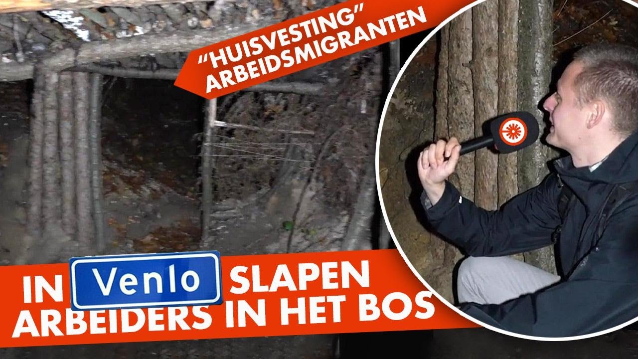 In Venlo slapen de arbeiders in het bos