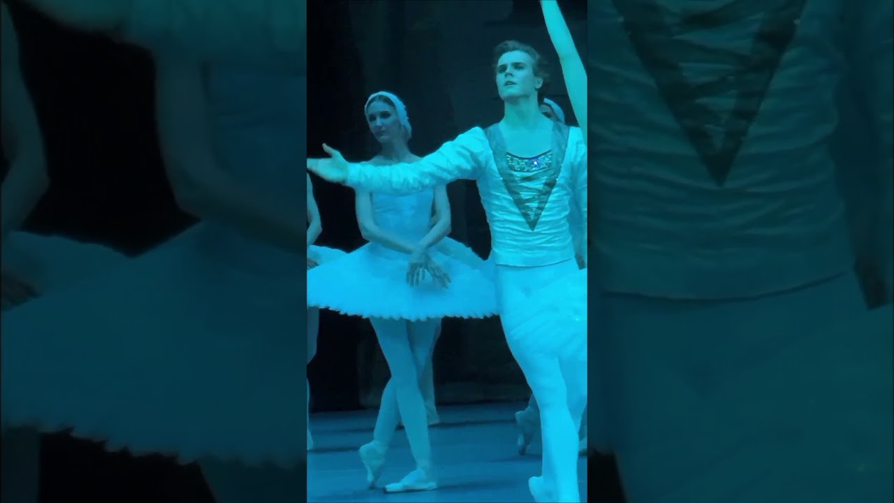 Ярославна Куприна, Даниил Потапцев (дебют), Марк Чино, Алексей Богорад, 