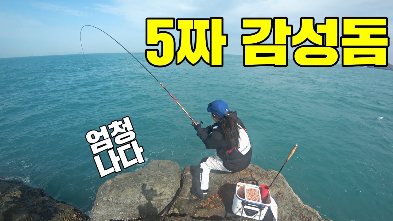 영등철 대물감성돔 몇마리째야~ 최대어 기록갱신!