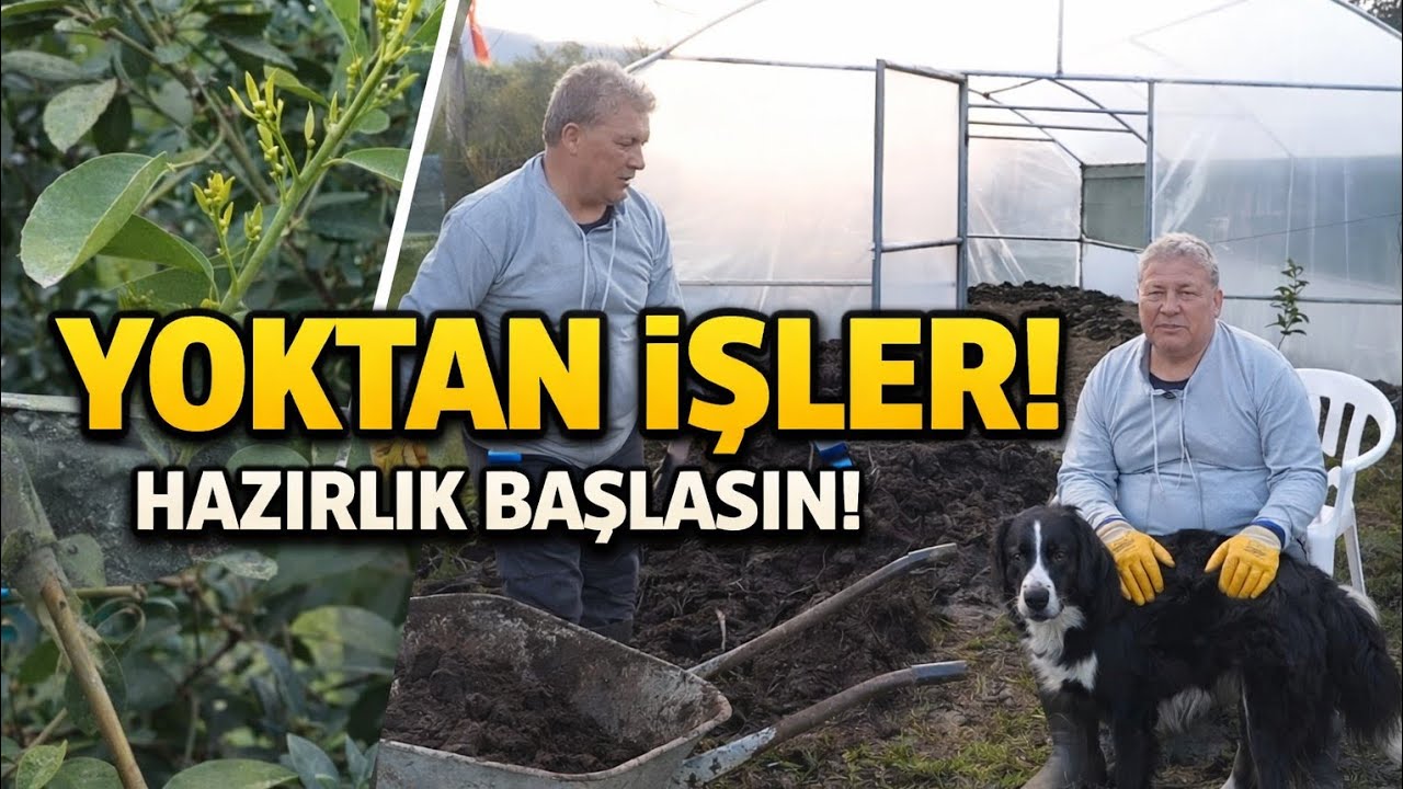 KÖYDE SERADA HER TARAFIMIZ HAYVAN GÜBRESI OLDU!!!