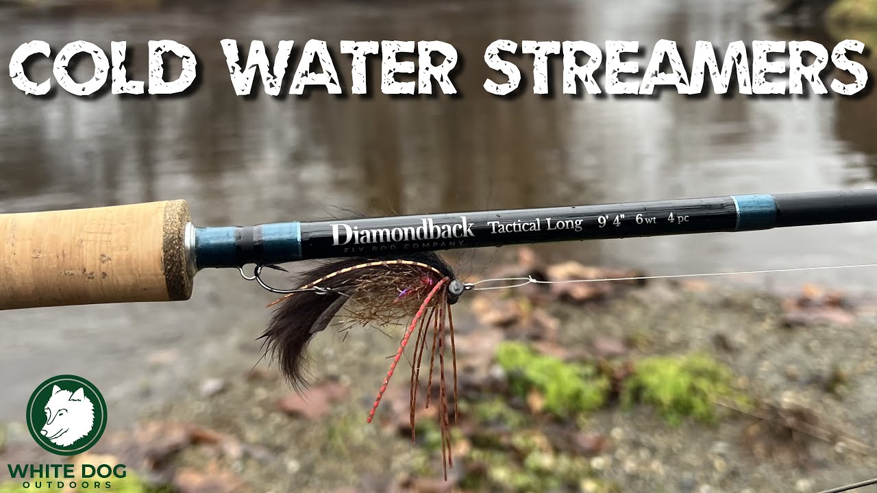 Fly Fishing Streamers in Cold Water