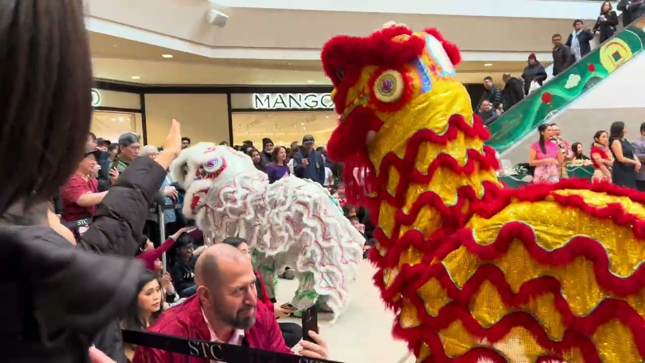 Lion Dance - Kung Hei Fat Choi, celebrating Happy Lunar New Year at Scarborough Town Centre