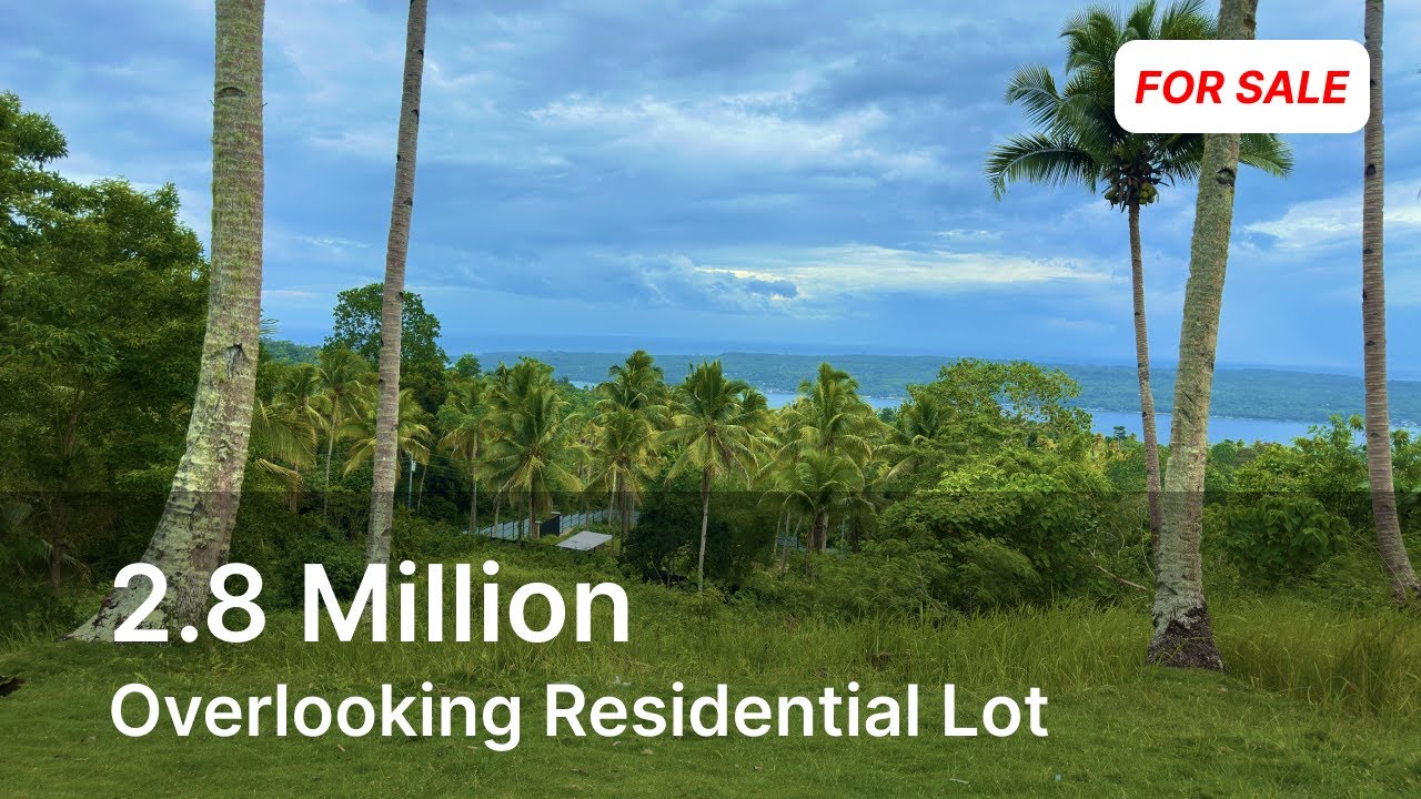 654 sqm Overlooking Residential Land Property for Sale in Samal