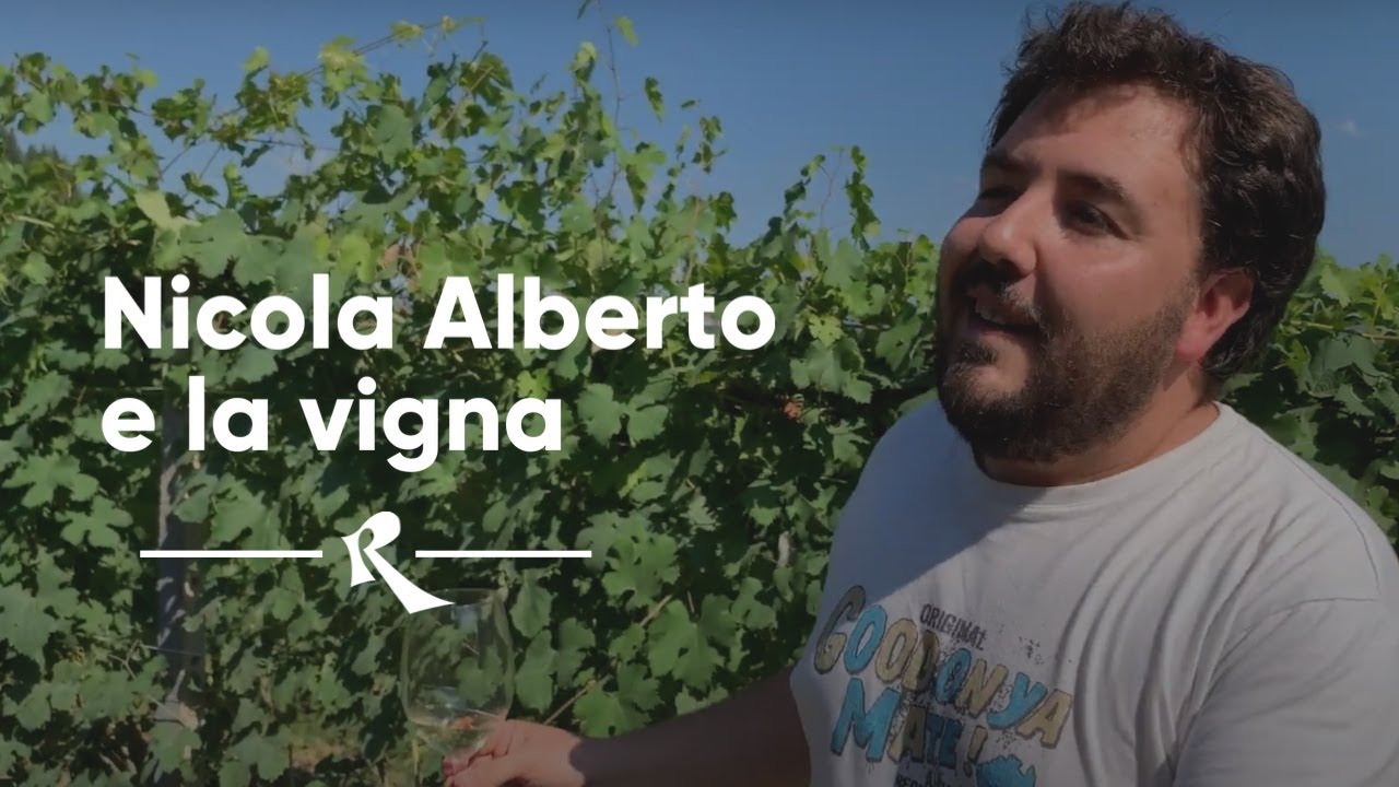 Nicola Oberto, TrediBerri, Barolo - La vigna