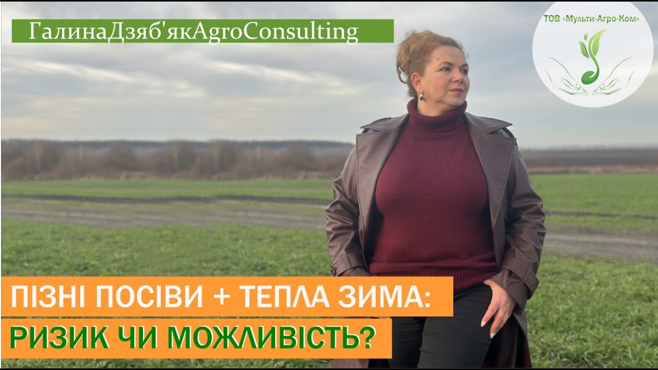 Тепла зима дає шанс пізнім посівам озимої пшениці, нітратний азот