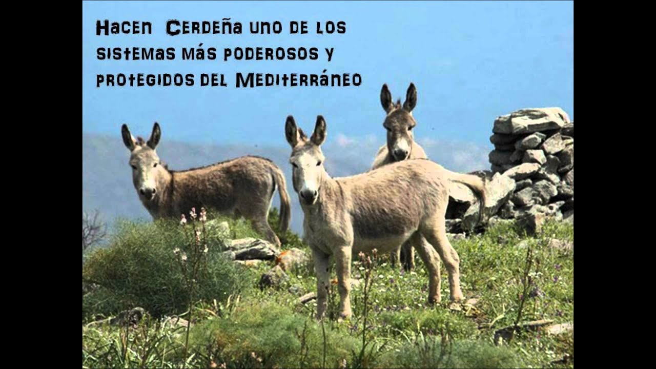 Porque ir a Cerdena