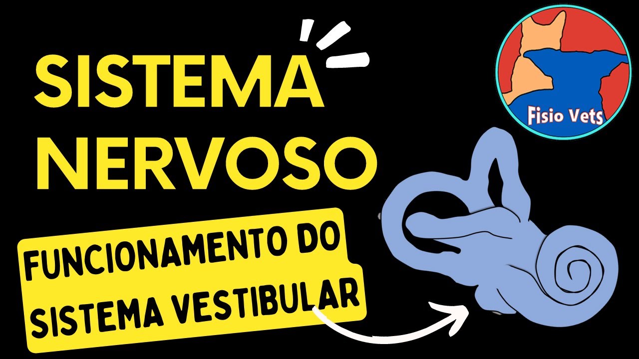 Neurofisiologia - Sistema vestibular - fisiologia veterinária - Aula 5