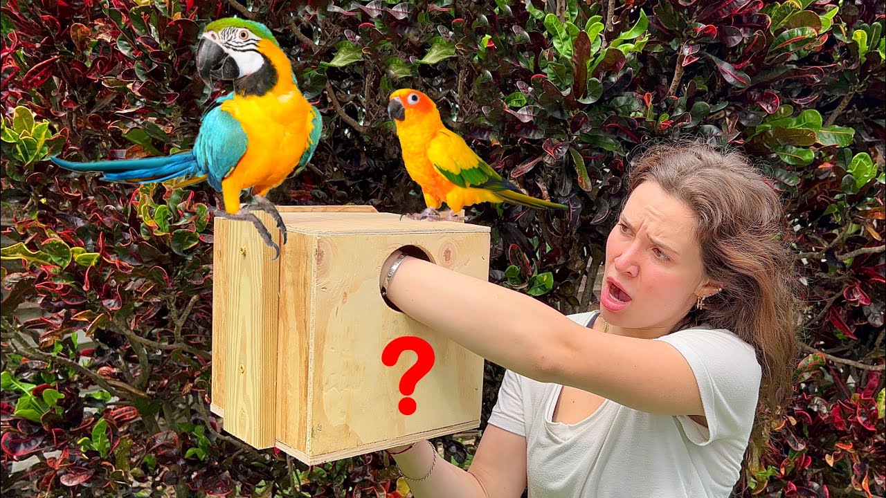 WHAT WAS LIVING INSIDE MY BIRDS NEST?! WE PULLED IT OUT!