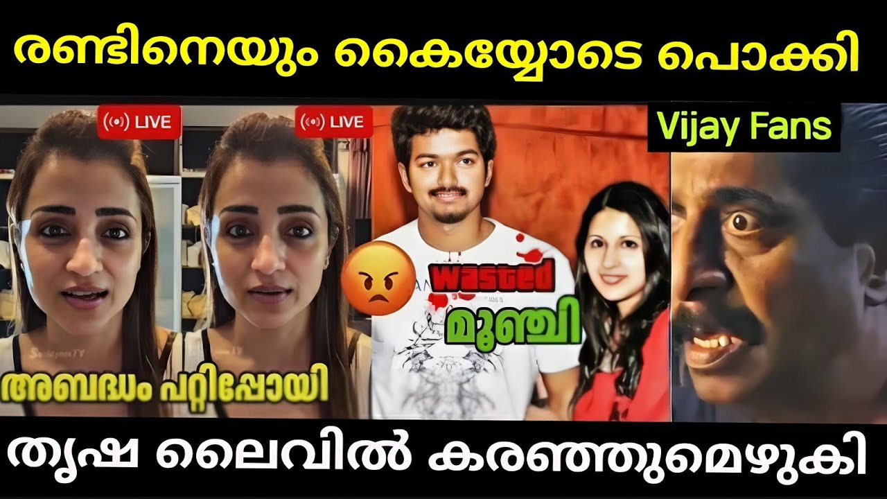 ഒരു കൈ അബദ്ധം നാറ്റിക്കരുത് |Vijay Sangeetha issue|Divorce|Latest malayalam troll