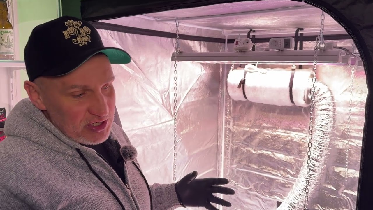 Гроубокс под Ключ!!!GROWBOX!!!Правильное выращивание!!!CBD!!!THC!!!